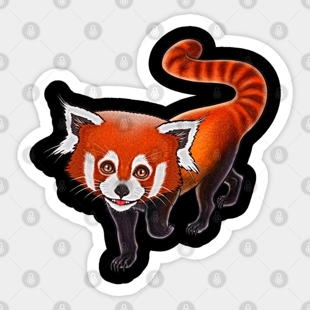 Red panda baby cute red panda baby lover Sticker by Artardishop